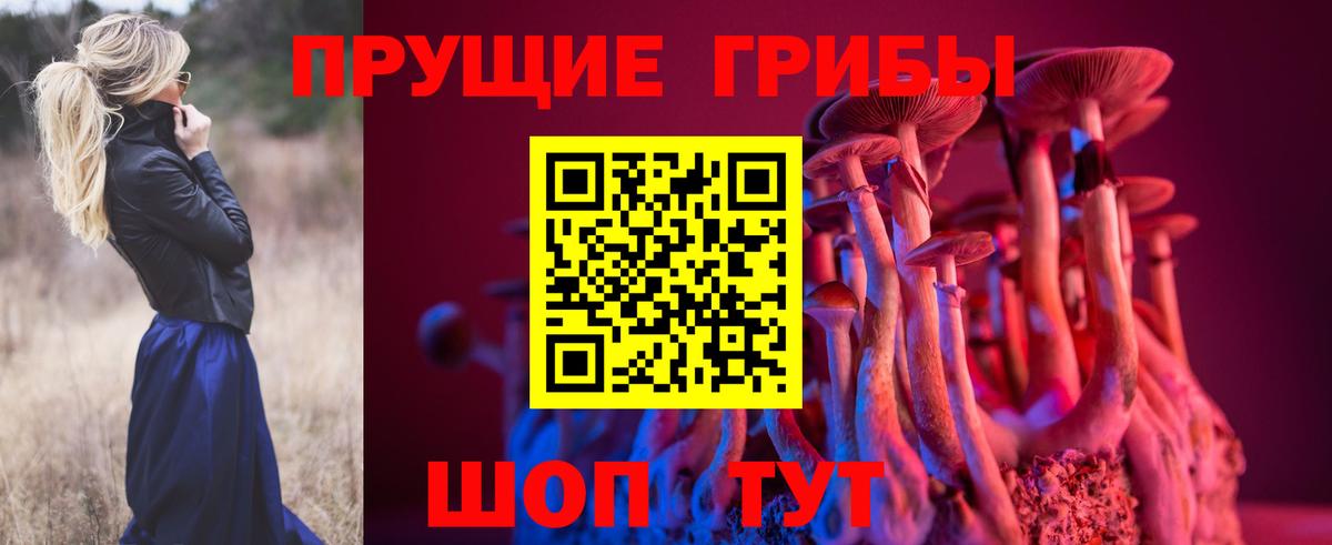 Псилоцибиновые грибы Magic Shrooms  Псилоцибиновые грибы MAGIC MUSHROOMS  Вход с VPN  Магадан 
